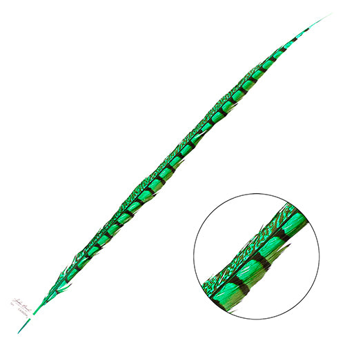 Lady Amherst Pheasant Feather Side (1pc)