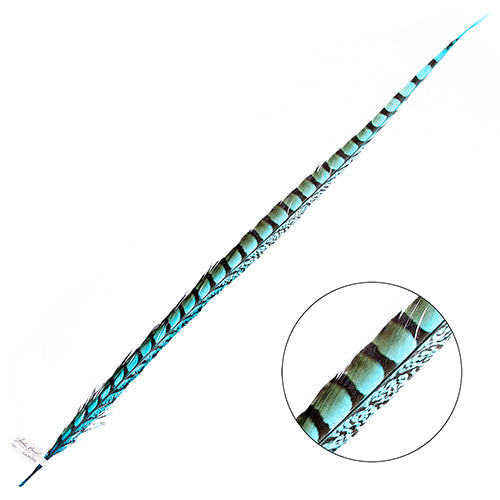 Lady Amherst Pheasant Feather Side (1pc)