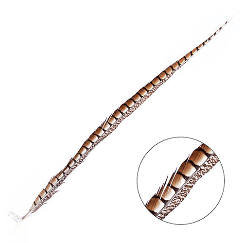 Lady Amherst Pheasant Feather Side (1pc)