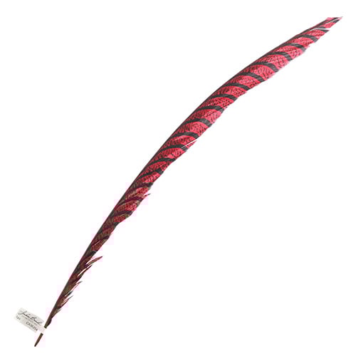 Lady Amherst Pheasant Feather Center (1pc) 