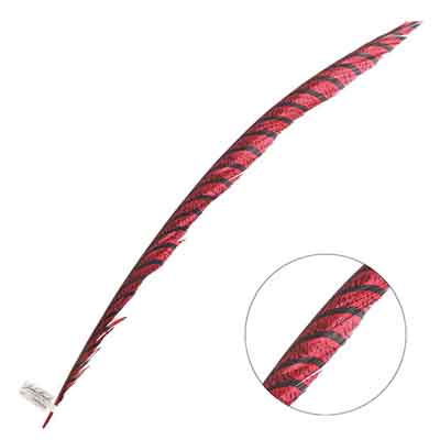 Lady Amherst Pheasant Feather Center (1pc)