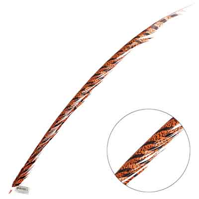 Lady Amherst Pheasant Feather Center (1pc)