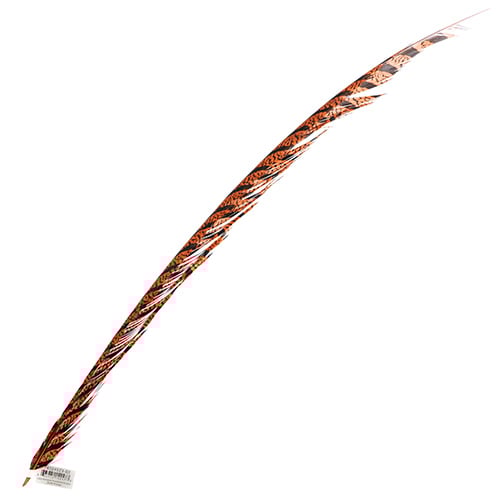 Lady Amherst Pheasant Feather Center (1pc) 