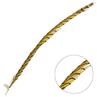 Lady Amherst Pheasant Feather Center (1pc)