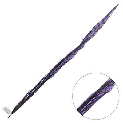 Lady Amherst Pheasant Feather Center (1pc)
