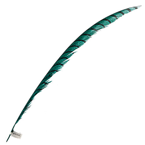 Lady Amherst Pheasant Feather Center (1pc) 