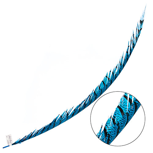 Lady Amherst Pheasant Feather Center (1pc)