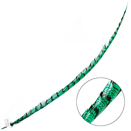 Lady Amherst Pheasant Feather Center (1pc)