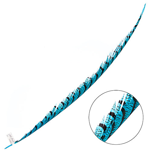 Lady Amherst Pheasant Feather Center (1pc)