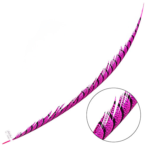 Lady Amherst Pheasant Feather Center (1pc)