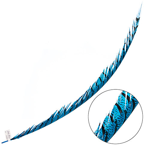 Lady Amherst Pheasant Feather Center (1pc)