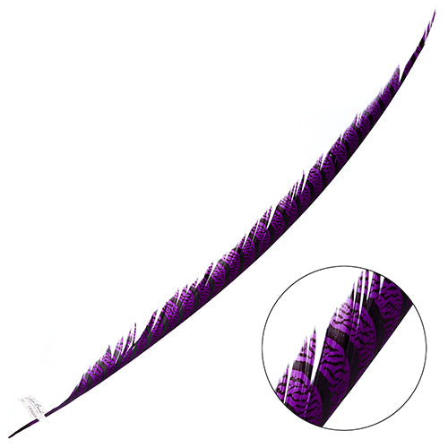 Lady Amherst Pheasant Feather Center (1pc)