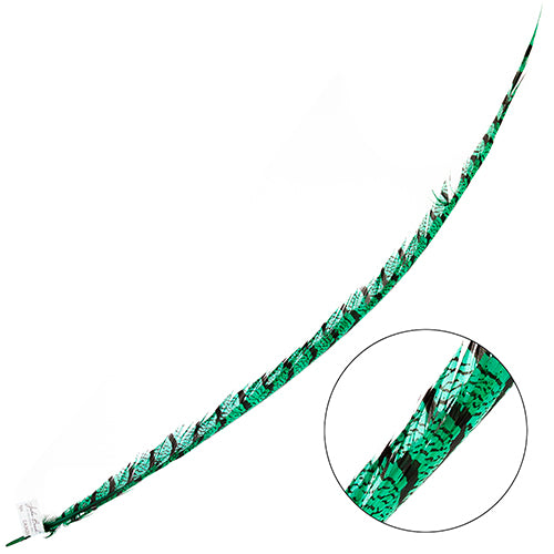 Lady Amherst Pheasant Feather Center (1pc)