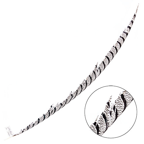 Lady Amherst Pheasant Feather Center (1pc)