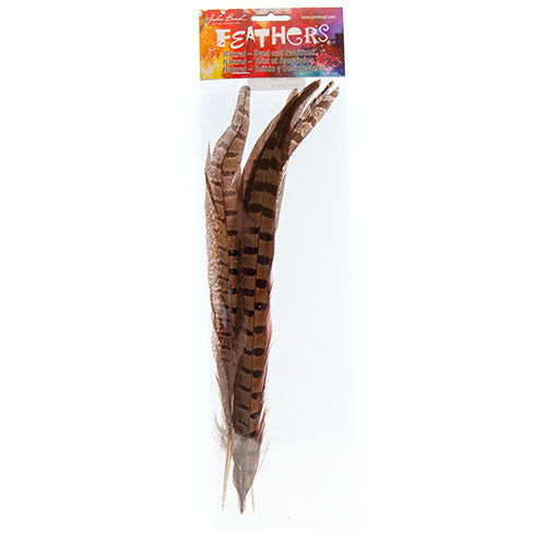 Ringneck Pheasant Tail 12-14in (5pcs) Natural