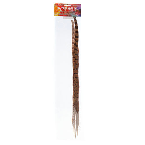 Ringneck Pheasant Tail 18-20in (3pcs) Natural