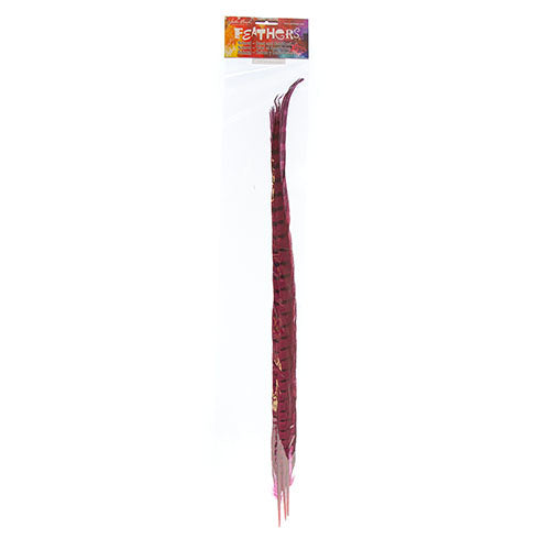 Ringneck Pheasant Tail 20-22in (3pcs) 