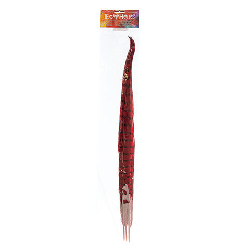 Ringneck Pheasant Tail 20-22in (3pcs) 