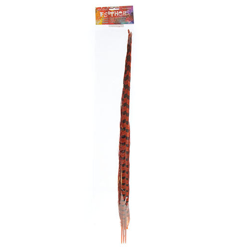 Ringneck Pheasant Tail 20-22in (3pcs) 