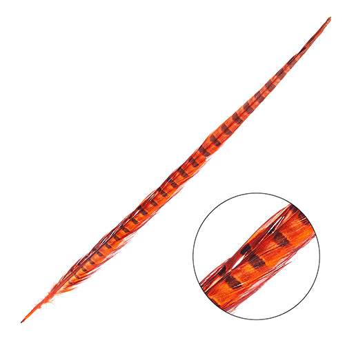 Ringneck Pheasant Tail 20-22in (3pcs)