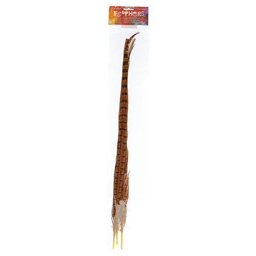 Ringneck Pheasant Tail 20-22in (3pcs) 