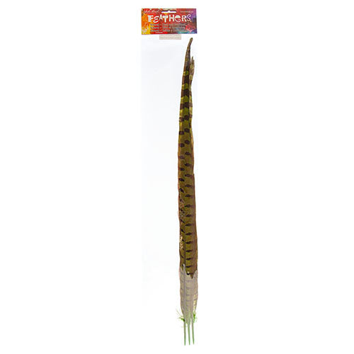 Ringneck Pheasant Tail 20-22in (3pcs) 