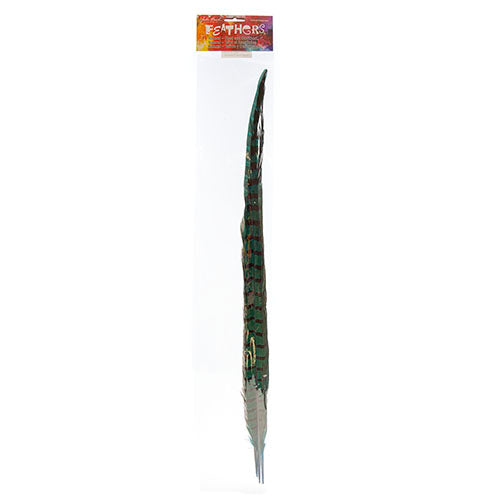 Ringneck Pheasant Tail 20-22in (3pcs) 