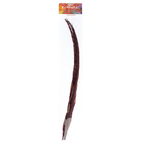 Ringneck Pheasant Tail 20-22in (3pcs) 