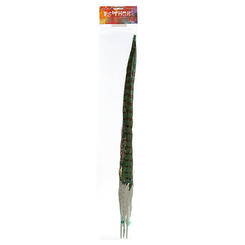 Ringneck Pheasant Tail 20-22in (3pcs) 