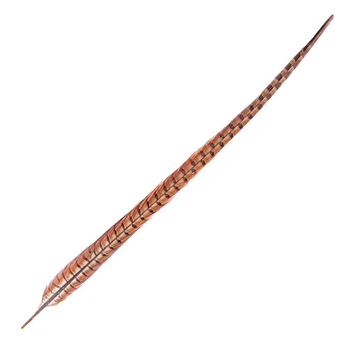 Ringneck Pheasant Tail 20-22in (3pcs) 