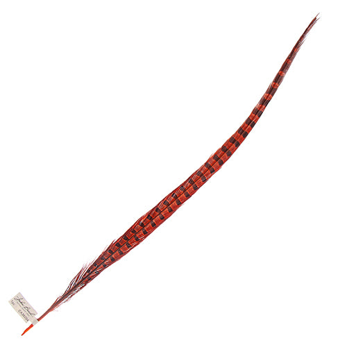 Ringneck Pheasant Tail 24-26in (1pc) 