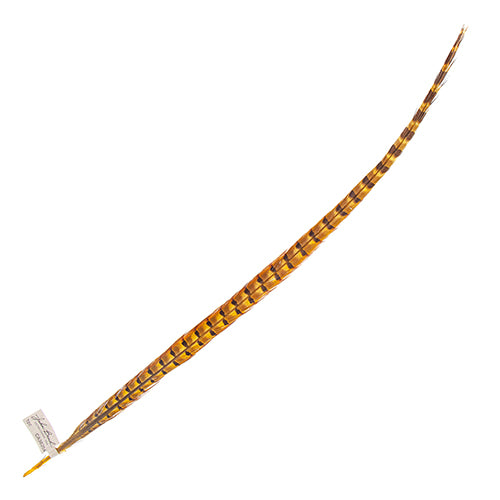 Ringneck Pheasant Tail 24-26in (1pc) 