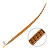 Ringneck Pheasant Tail 24-26in (1pc) 