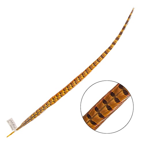 Ringneck Pheasant Tail 24-26in (1pc)