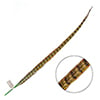 Ringneck Pheasant Tail 24-26in (1pc) 