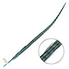 Ringneck Pheasant Tail 24-26in (1pc) 