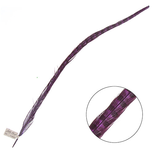 Ringneck Pheasant Tail 24-26in (1pc)