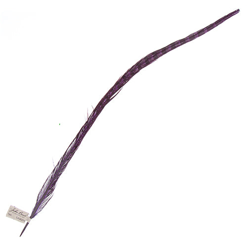 Ringneck Pheasant Tail 24-26in (1pc) 