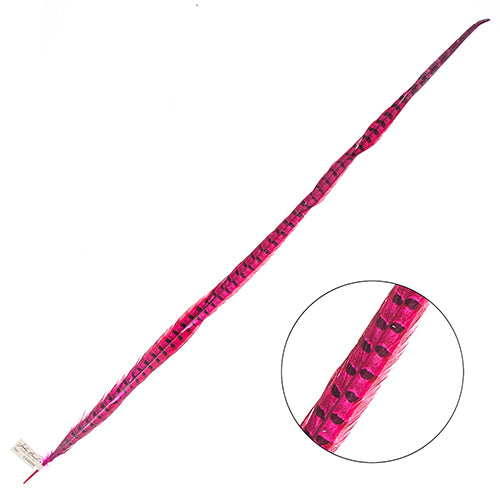 Ringneck Pheasant Tail 30-35in (1pc)