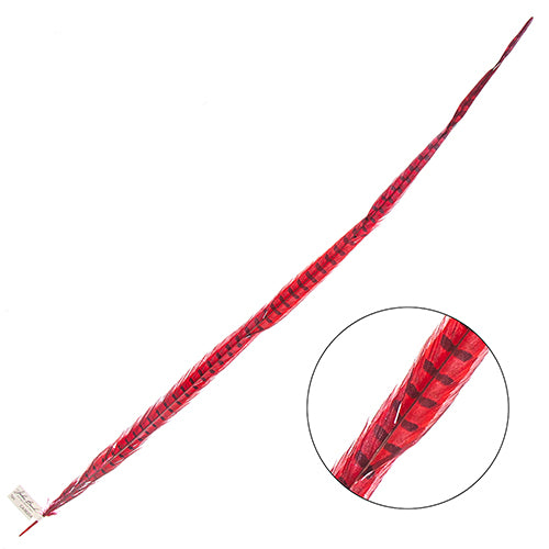 Ringneck Pheasant Tail 30-35in (1pc)