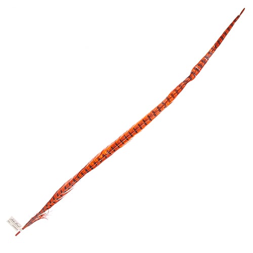 Ringneck Pheasant Tail 30-35in (1pc) 