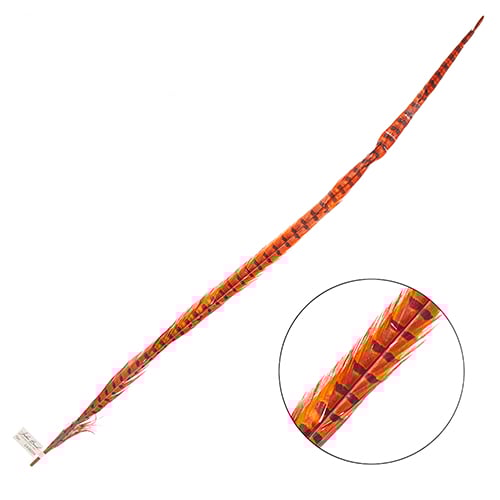 Ringneck Pheasant Tail 30-35in (1pc)