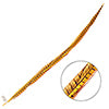 Ringneck Pheasant Tail 30-35in (1pc) 