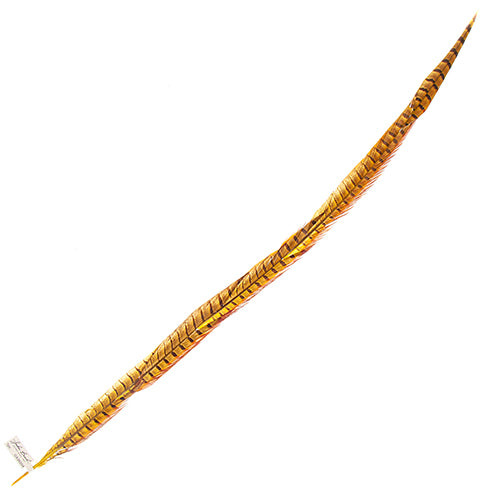 Ringneck Pheasant Tail 30-35in (1pc) 