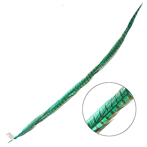 Ringneck Pheasant Tail 30-35in (1pc)