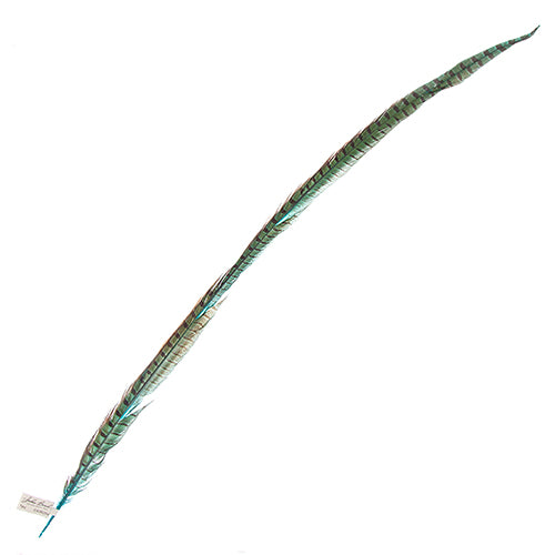 Ringneck Pheasant Tail 30-35in (1pc) 