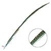 Ringneck Pheasant Tail 30-35in (1pc) 