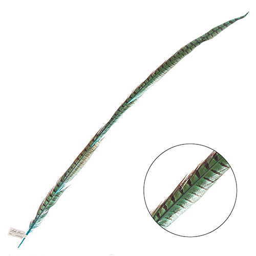 Ringneck Pheasant Tail 30-35in (1pc)