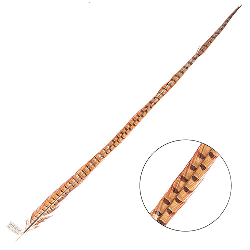 Ringneck Pheasant Tail 30-35in (1pc)