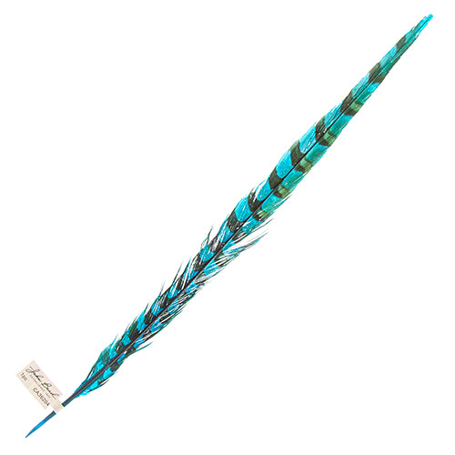 Reeves Pheasant Tail 20-25in (1pc) 